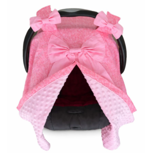 Custom CarSeat Cover